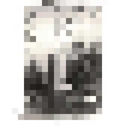 Фотография ч/б «Скульптура на братской могиле в селе Октябрьское Двуречанского р-на Харьковской обл.»