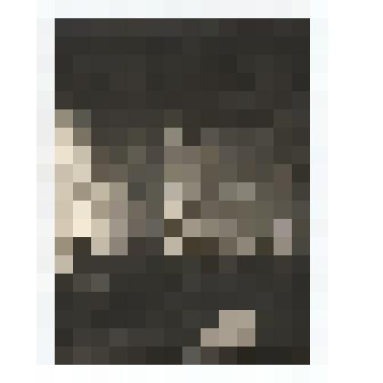 Ф/чб. Экспозиция Центрального музея АССР НП:  информационная стена о В.И. Ленине (на стене в рамах планшеты, витрины, слева - манекен поволжской немки, прялка). Энгельс. 1941