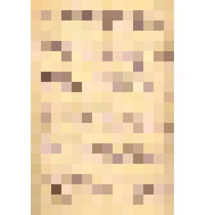 Протокол осмотра места происшествия и трупа гр.Маяковского составлен дежурным нарследователем Синевым в присутствии дежурного врача Рясенцева и двух понятых