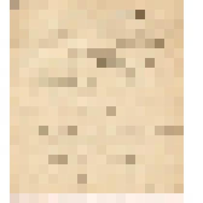 Телеграмма в Москву, Боровское подворье Степану Алексеевичу Сокотову от Алина из Чердыни, 06.02.1907 г