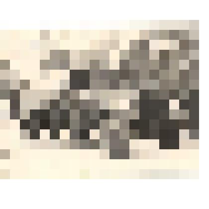 Фотография. Истомин Евгений Петрович, участник Великой Отечественной войны 01.08.1946