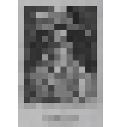 Портрет Рудольфа II Габсбурга