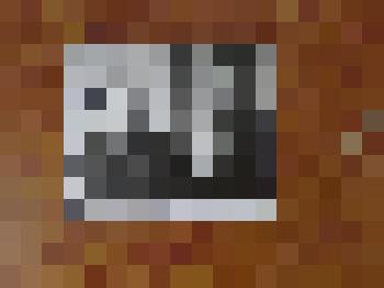 Фотография партизан Беляйцев с внуками