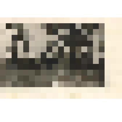 Фото (черно-белое)