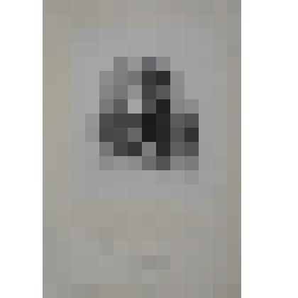 Портрет. Голицын Александр Николаевич