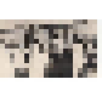 Фото/чб. Новая насосная станция Энгельсской оросительной системы № 1 им.Ю.А. Гагарина на р.Саратовка (ВОЛЖНИИГИМ). 1970-е