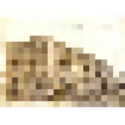 Ф/чб. Строительство жилого дома в г. Бальцер  (Красноармейск) АССР НП. На заднем плане - лютеранская церковь. 1920-1930-е