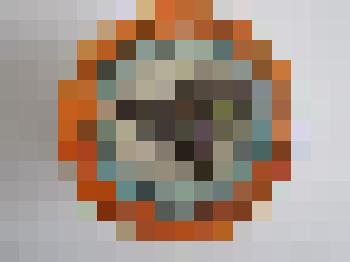 Значок "Белобрюхий тюлень"