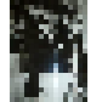 Фотография. А.П. Аверкин. Концерт на заводе