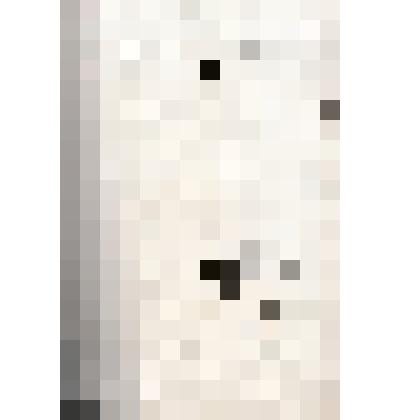 Технико-экономические обоснования к генеральному проекту нового города Энгельс. Том 2. Саратовская областная проектно-планировочная контора "Облпроект". Инженерно-экономическое обоснование генерального проекта нового города Энгельс