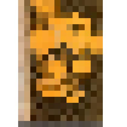 Книга Продукты пчеловодства и их использование»      Н.П. Иойриш   Москва. Россельхозиздат  1976 г