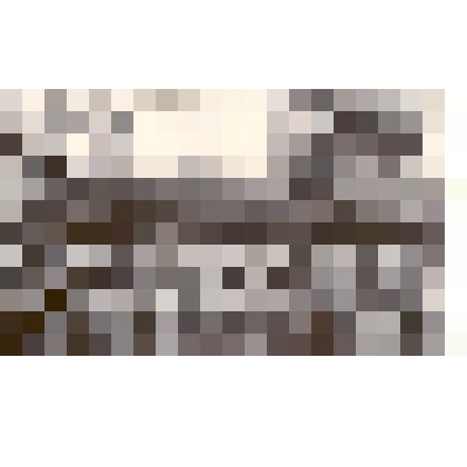 Фотография: Подшивайлов Денис Протасович в воинской части