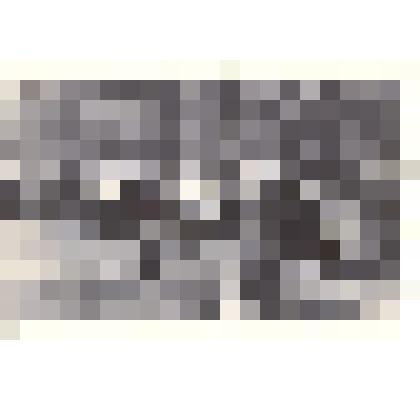 Фотография: слет туристов города Камня-на-Оби Алтайского края в Чапаевском отделении совхоза "Октябрь"