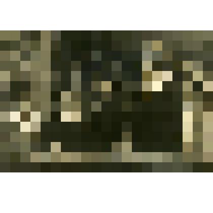 Фотография. Звеньевые колхоза "Память Ильича" Мытищенского района