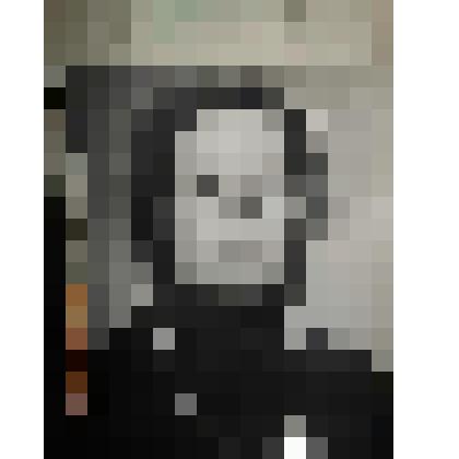 фото. Павлова Вера Федоровна доярка колхоза "Родина"