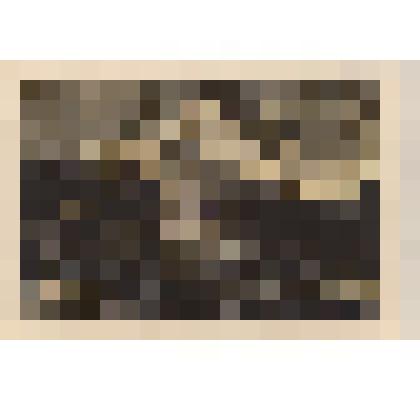 «Избы».1923. Лист из цикла «Пейзаж в гравюрах на дереве Ивана Павлова.1922-1923»