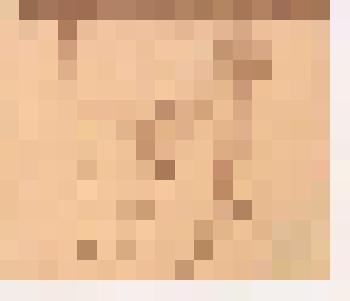 Автолитография. Портрет Н.В. Добужинского