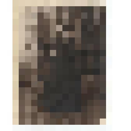 Ф/чб. Поволжская немка-колонистка (старуха в тулупе). Поволжье. 1920-е. /Экспедиция Г. Дингеса