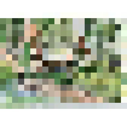 "Церковь Ильи Пророка в Сидоровой Слободе XIX в." Рисунок графический