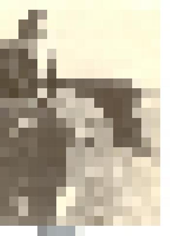 Фотография: Юрасов Владимир, шофер АТК Каменского района Алтайского края