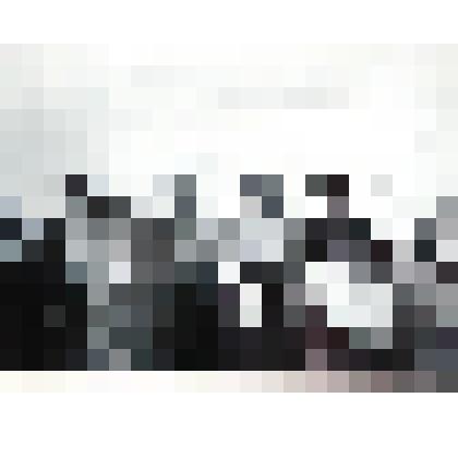 Фотография. Встреча 1-й Конной армии