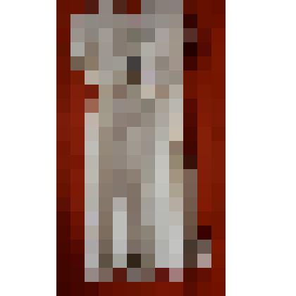 Платье- костюм, льняной, белый. Вырез горловины – углом, рукав короткий, вточной