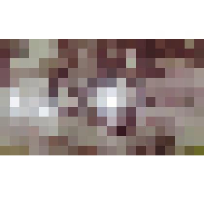 Фото. Водораспредилительный гидротехнический узел канала РМ-10  УОС