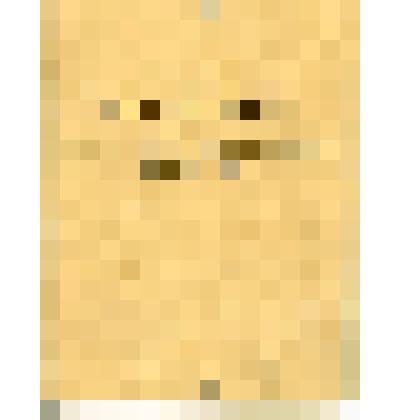 Расчетная книжка