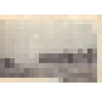 Фото.Шумиловский дом инвалидов