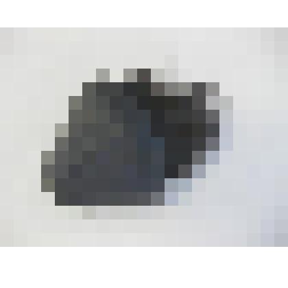 Щетка овальная  волосяная малая  к комплекту «Пылесос бытовой электрический «Чайка» на салазках». Пылесоса «Чайки»