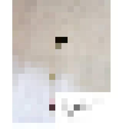 Гербарий
Прострел