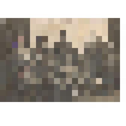 Фотография. Рабочие котельного отделения механического цеха УМЗ