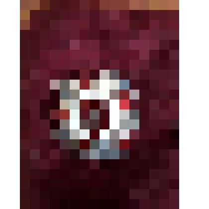 Орден "Отечественной войны" II степени - Отарова Магомеда Муратовича