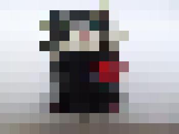 Скульптура малая "Черный кот"