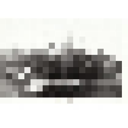 Фотография видовая. Братская могила в с. Садки Дубовского района Волгоградской области, в которой похоронен Скопин Иван Александрович - участник ВОВ, уроженец Сорокинского района Алтайского края