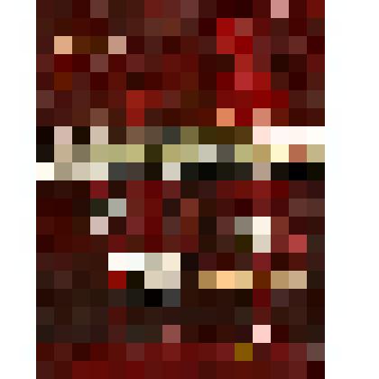 Проспект иллюстрированный "Важнейшие события истории немецкой автономии на Волге" (краткая хроника)