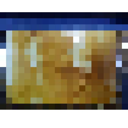 Ворожбитов Г.А. (справа) с братом