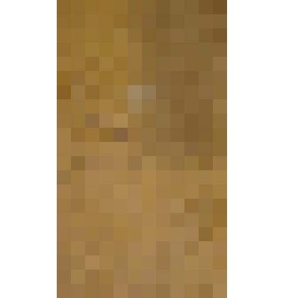 Книга алфавитная хозяйств Кайского сельского округа на 1998 год