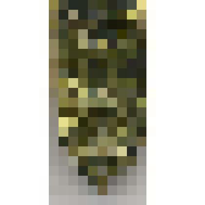 Значок "Гродна"