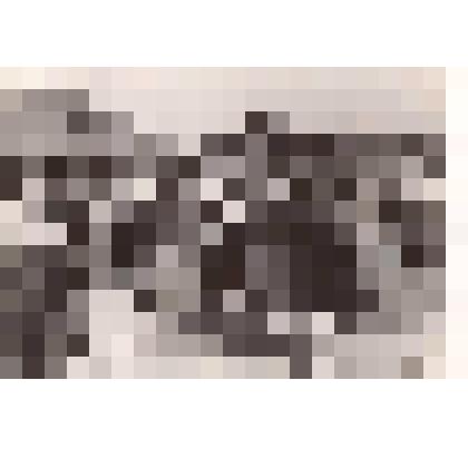 Фотография. День Победы 9 Мая 1945г. в станице Выселки на Кубани (в центре Золин Георгий Ефимович, председатель колхоза в станице) с жителями и оркестром