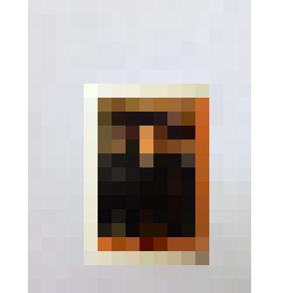 Марка. Рембрандт. "Портрет брата Рембрандта Адриана."