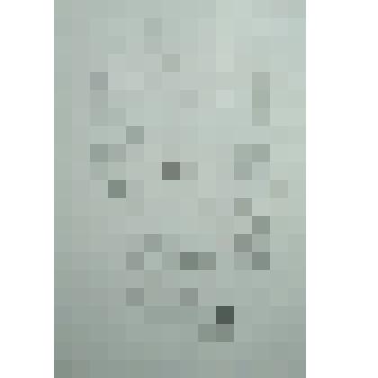 Ахметзянова И.В. Портрет деда