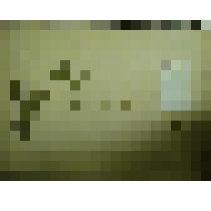 Гербарий. Недотрога обыкновенная. Из гербария "Флора Ингрика"