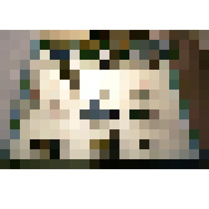 Проводы русской зимы