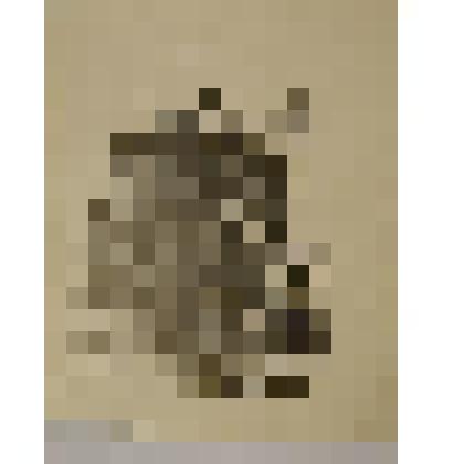 Из книг Трухницкого