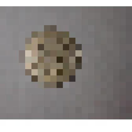 Монета номиналом 20 копеек 1981 г СССР