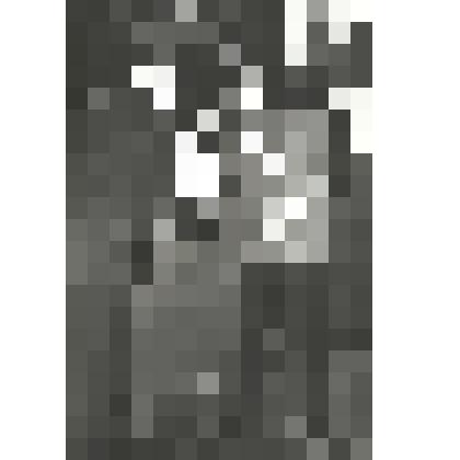 Фотография "Вручение почетной грамоты В.Д. Калашникову"