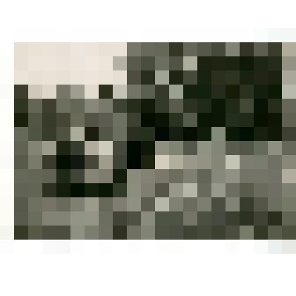 Фотография. Тип якута Восточно-Кангаласского улуса