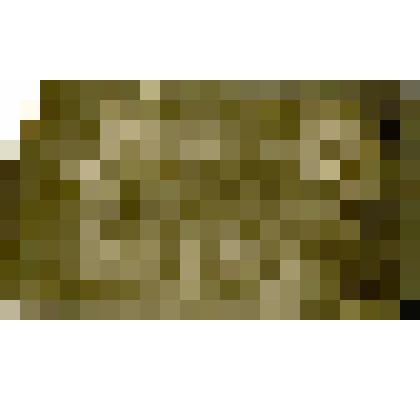 Фотография. Группа якутских детей у юрты