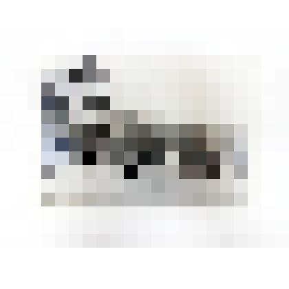 Фотография чёрно-белая. Стадион «Динамо»